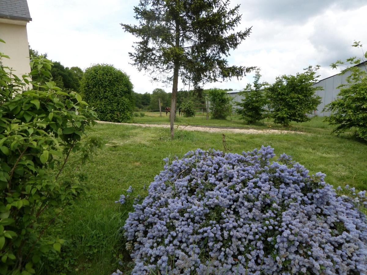 Bienvenue A L'Andruere Bed & Breakfast Cheillé Екстериор снимка