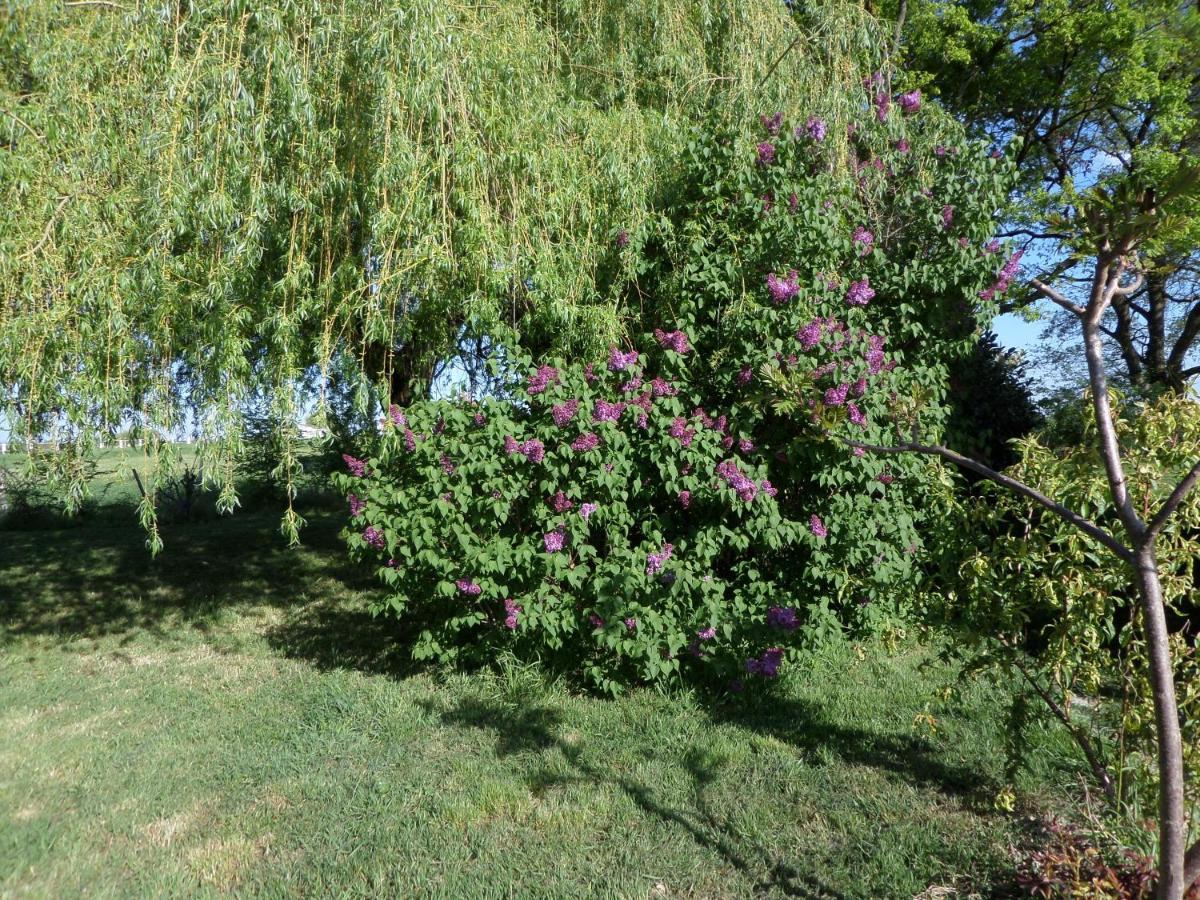 Bienvenue A L'Andruere Bed & Breakfast Cheillé Екстериор снимка